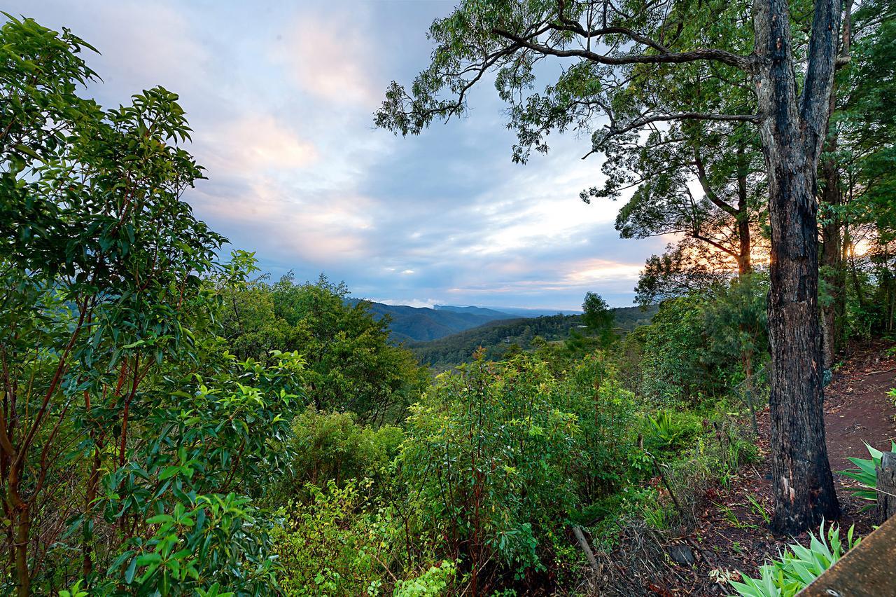 Escarpment Retreat & Day Spa For Couples Mount Tamborine Kültér fotó