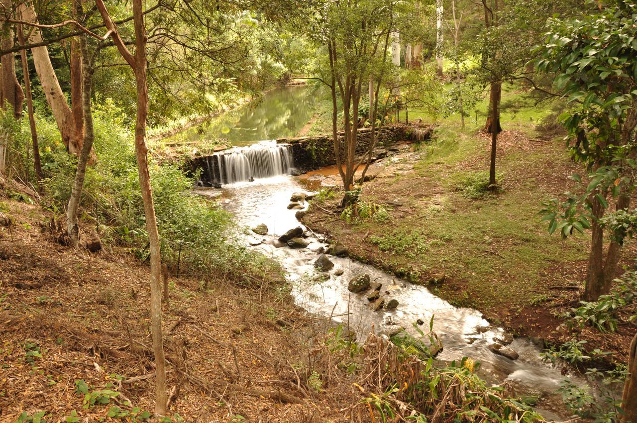 Escarpment Retreat & Day Spa For Couples Mount Tamborine Kültér fotó